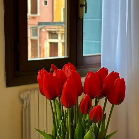 Campo San Polo Canal View Appartement